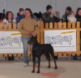 /album/exposiciones/boramorena-429-jpg/
